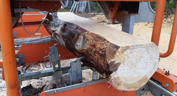 Récupération du bois Puy-de-Dôme