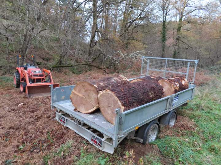 Une démarche écologique pour vos déchets verts